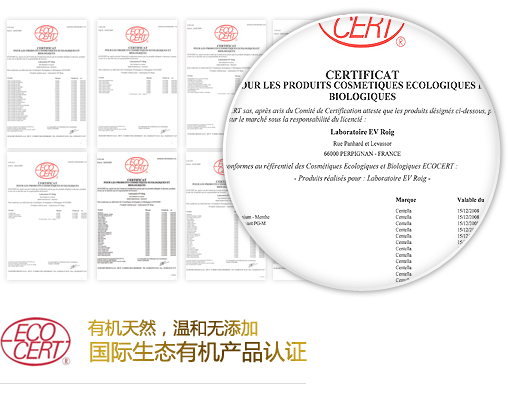Certificate_1_.gif